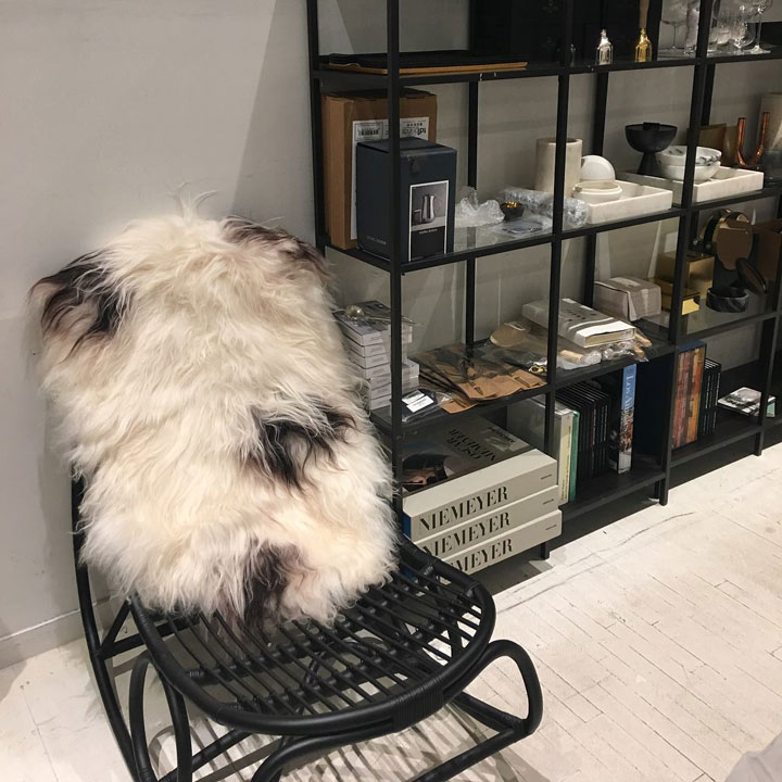 The Line Sample Sale Fur