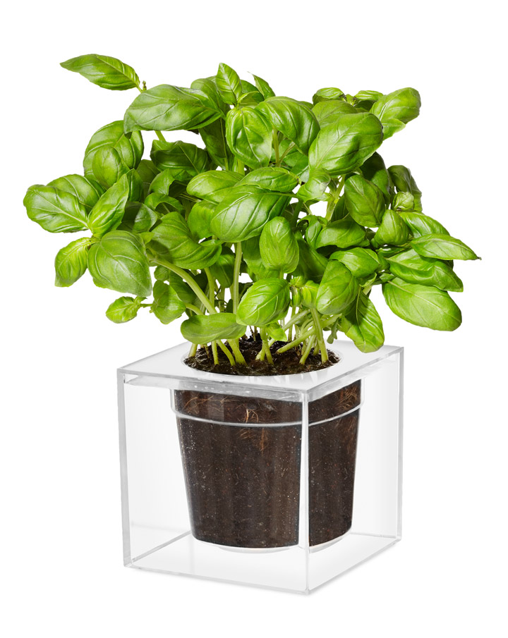 Boskee Cube Planter: $17.95 (orig. $25)