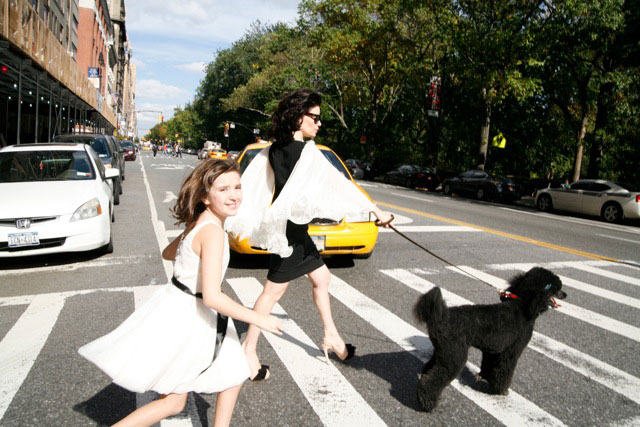 Meet Charlie Girl: One Fabulous, Manhattan Poodle