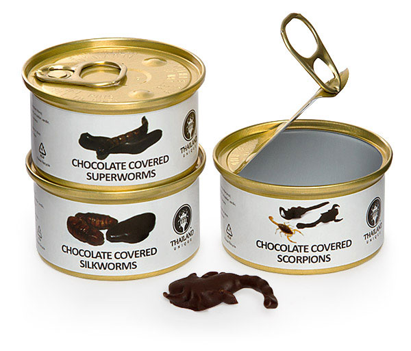 Chocolate-Covered Edible Bugs Gift Pack