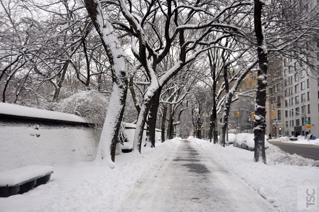 Fifth Avenue at 86th Street