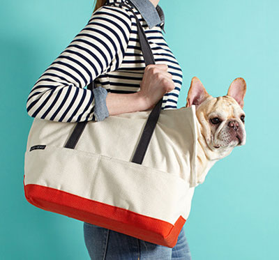 Starting at 9PM at Gilt.com: Pet Style - LoveThyBeast & P.L.A.Y.