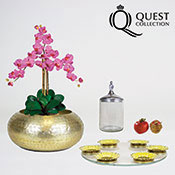 Quest Gifts & Design Sample Sale