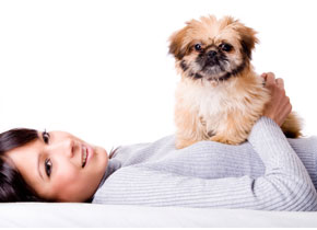 Lose the stress and kick your bad habits with the help of man's best friend